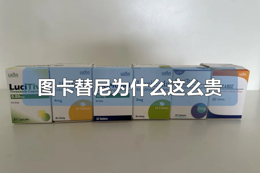 图卡替尼为什么这么贵